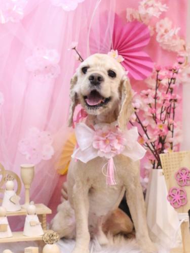 20250330そらくん